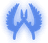 bet-coin